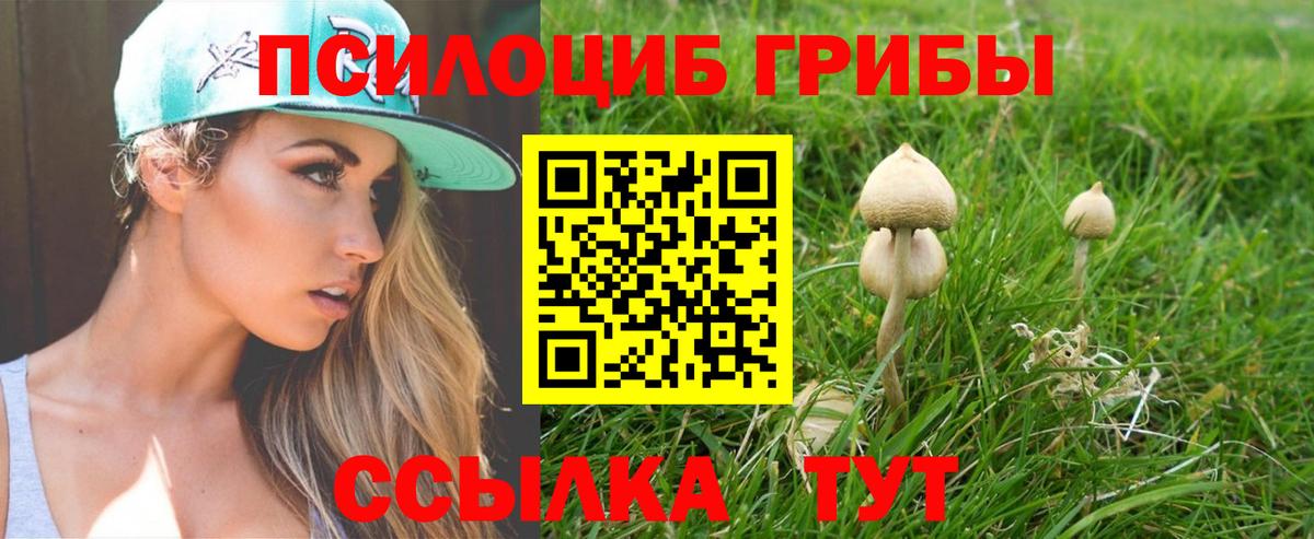 Галлюциногенные грибы прущие грибы Богородицк