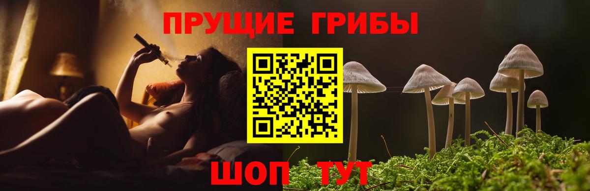Псилоцибиновые грибы прущие грибы  Галлюциногенные грибы GOLDEN TEACHER  Вход с VPN  Богородицк 