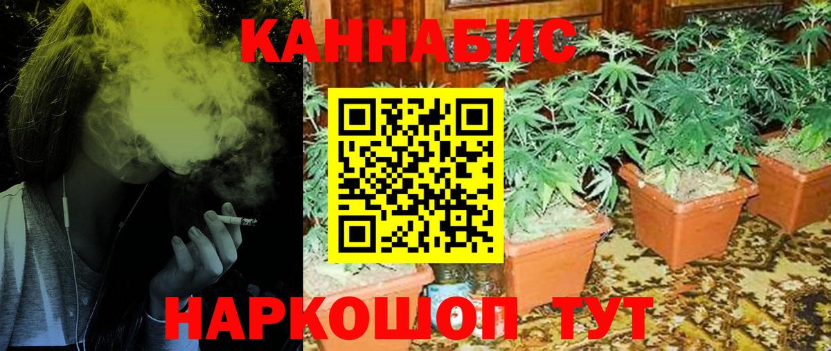 Богородицк  Шишки марихуана THC 21%  Вход с VPN  Канабис планчик  Шишки марихуана сатива 
